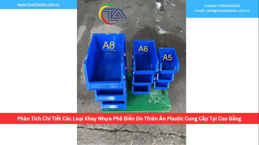 Phân Tích Chi Tiết Các Loại Khay Nhựa Phổ Biến Do Thiên Ân Plastic Cung Cấp Tại Cao Bằng