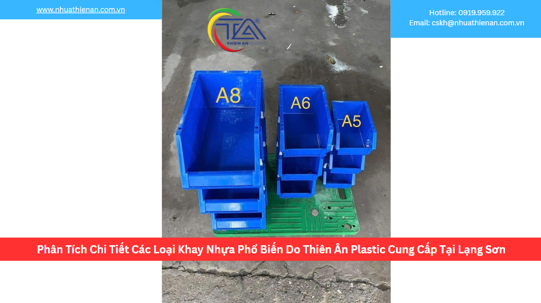 Phân Tích Chi Tiết Các Loại Khay Nhựa Phổ Biến Do Thiên Ân Plastic Cung Cấp Tại Lạng Sơn