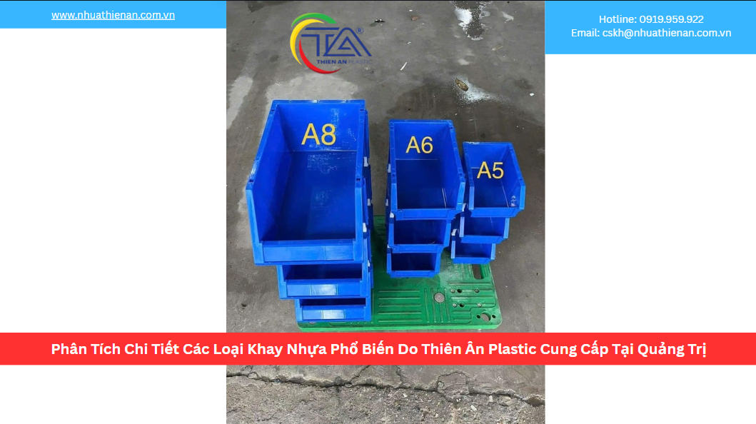 Phân Tích Chi Tiết Các Loại Khay Nhựa Phổ Biến Do Thiên Ân Plastic Cung Cấp Tại Quảng Trị