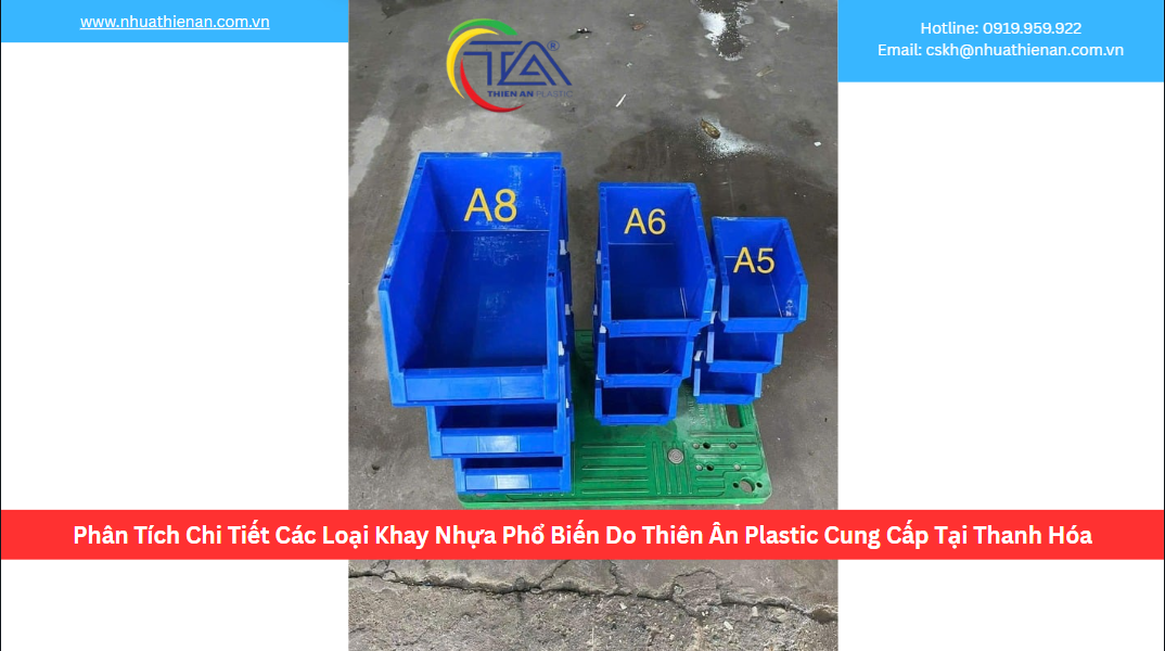 Phân Tích Chi Tiết Các Loại Khay Nhựa Phổ Biến Do Thiên Ân Plastic Cung Cấp Tại Thanh Hóa
