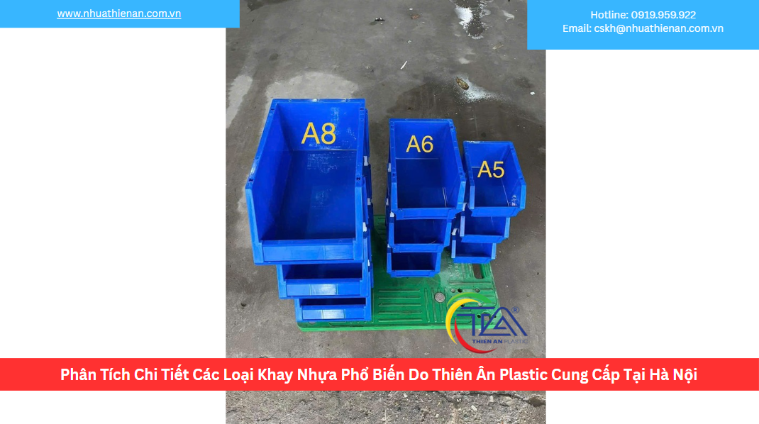 Phân Tích Chi Tiết Các Loại Khay Nhựa Phổ Biến Do Thiên Ân Plastic Cung Cấp Tại Hà Nội