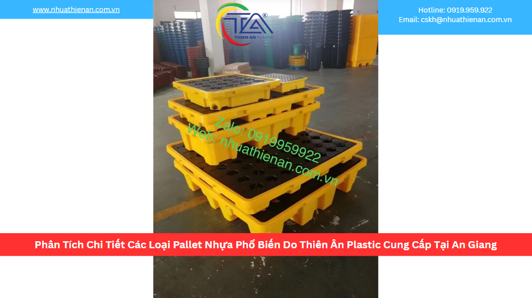 Phân Tích Chi Tiết Các Loại Pallet Nhựa Phổ Biến Do Thiên Ân Plastic Cung Cấp Tại An Giang