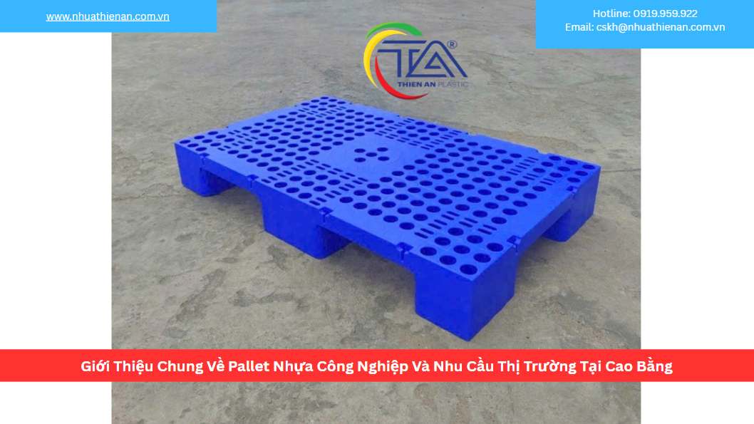Giới Thiệu Chung Về Pallet Nhựa Công Nghiệp Và Nhu Cầu Thị Trường Tại Cao Bằng