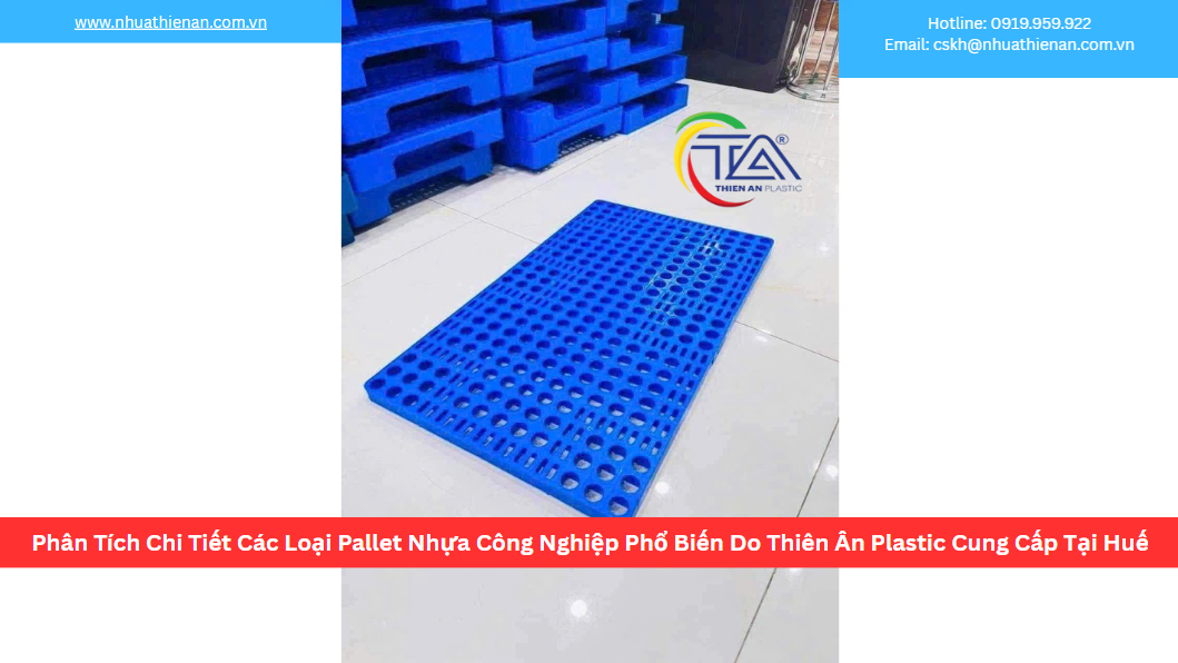 Phân Tích Chi Tiết Các Loại Pallet Nhựa Công Nghiệp Phổ Biến Do Thiên Ân Plastic Cung Cấp Tại Huế