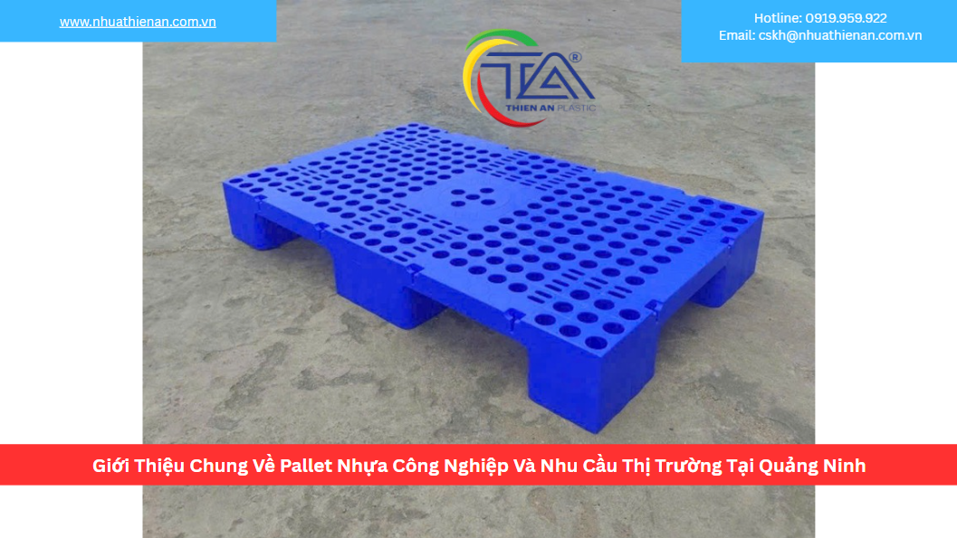 Giới Thiệu Chung Về Pallet Nhựa Công Nghiệp Và Nhu Cầu Thị Trường Tại Quảng Ninh