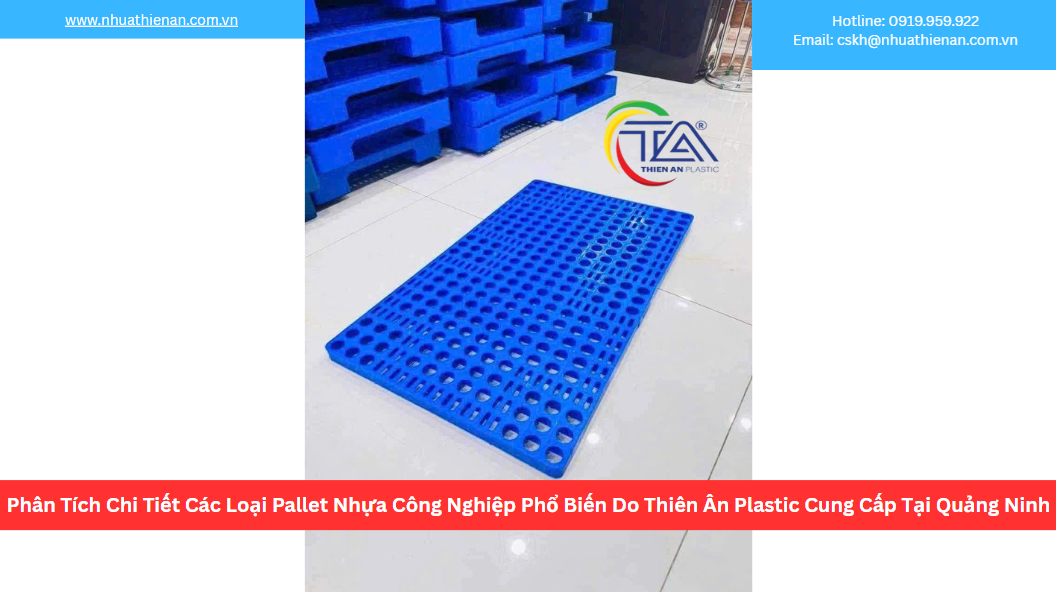 Phân Tích Chi Tiết Các Loại Pallet Nhựa Công Nghiệp Phổ Biến Do Thiên Ân Plastic Cung Cấp Tại Quảng Ninh