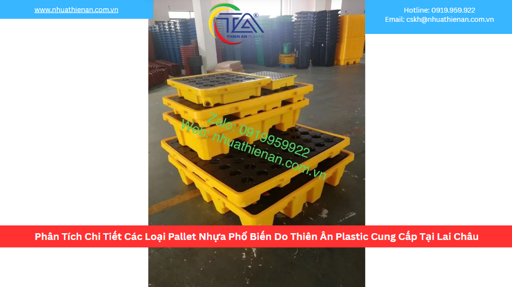 Phân Tích Chi Tiết Các Loại Pallet Nhựa Phổ Biến Do Thiên Ân Plastic Cung Cấp Tại Lai Châu