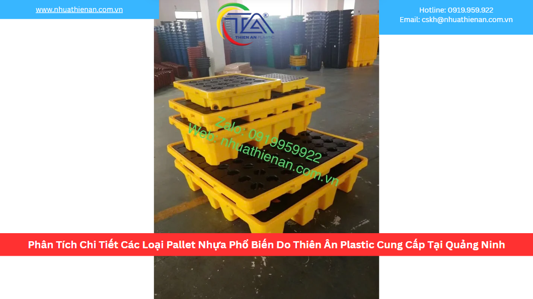 Phân Tích Chi Tiết Các Loại Pallet Nhựa Phổ Biến Do Thiên Ân Plastic Cung Cấp Tại Quảng Ninh