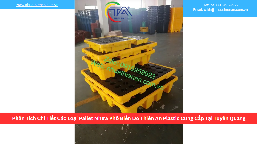 Phân Tích Chi Tiết Các Loại Pallet Nhựa Phổ Biến Do Thiên Ân Plastic Cung Cấp Tại Tuyên Quang