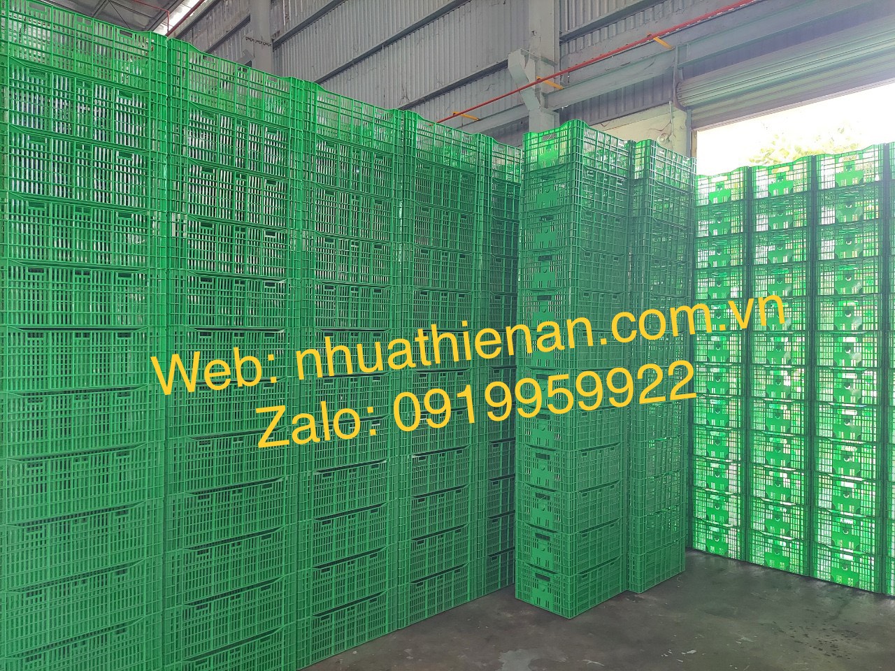 Sóng Nhựa Cà Chua