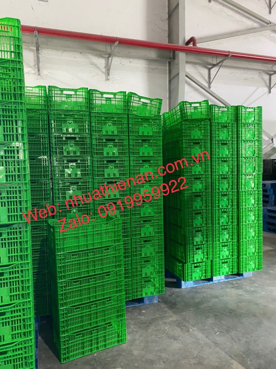 Sóng Nhựa Cà Chua