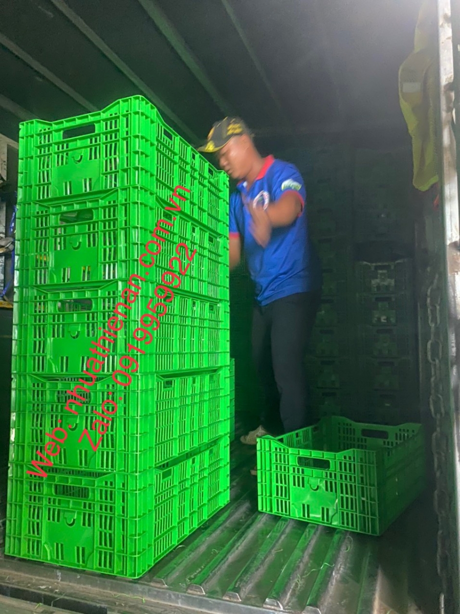Sóng Nhựa Cà Chua