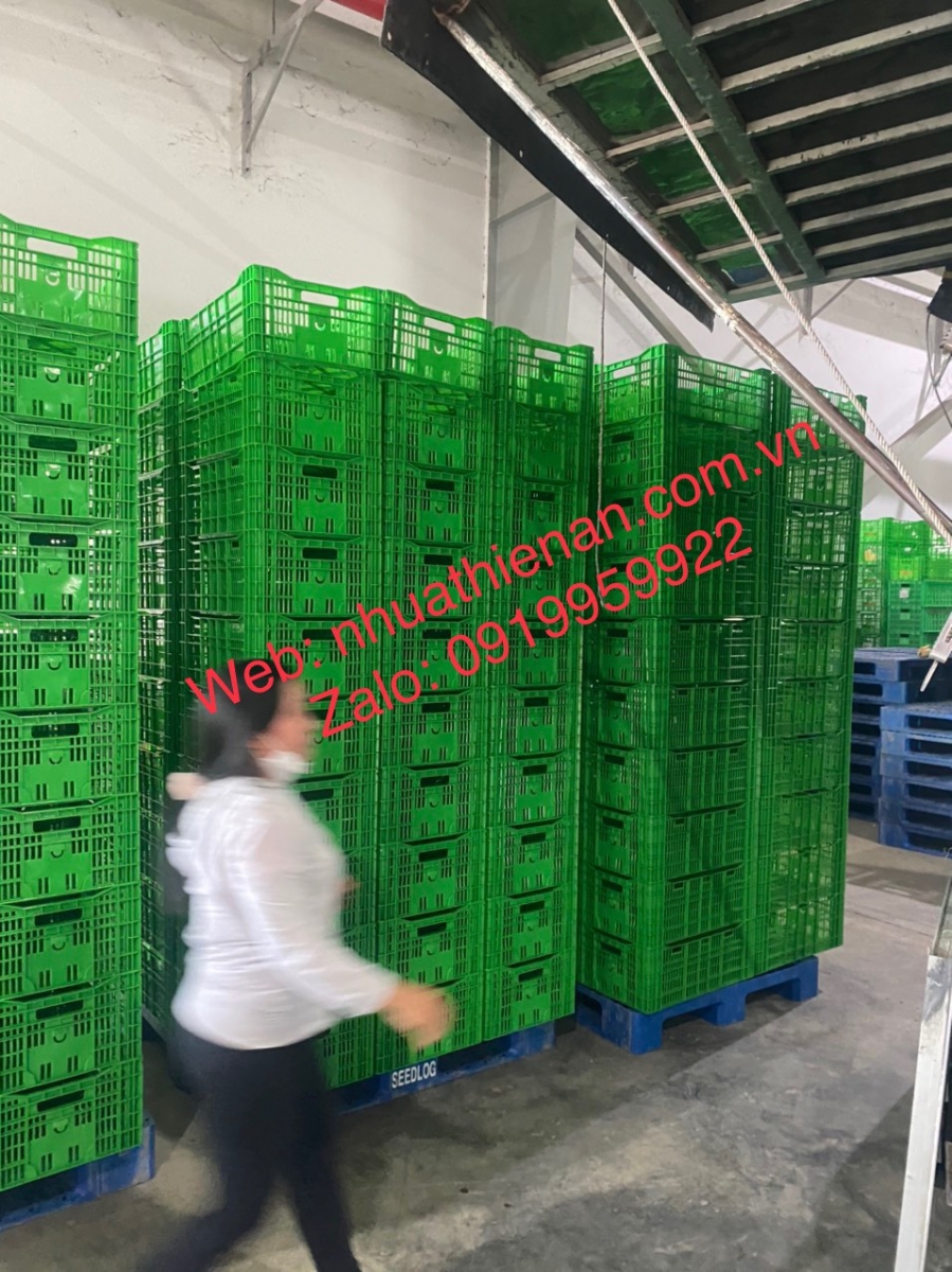 Sóng Nhựa Cà Chua