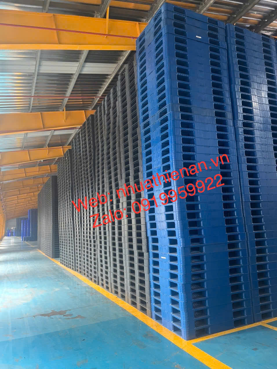 Báo Giá Pallet Nhựa Công Nghiệp Gia Lai