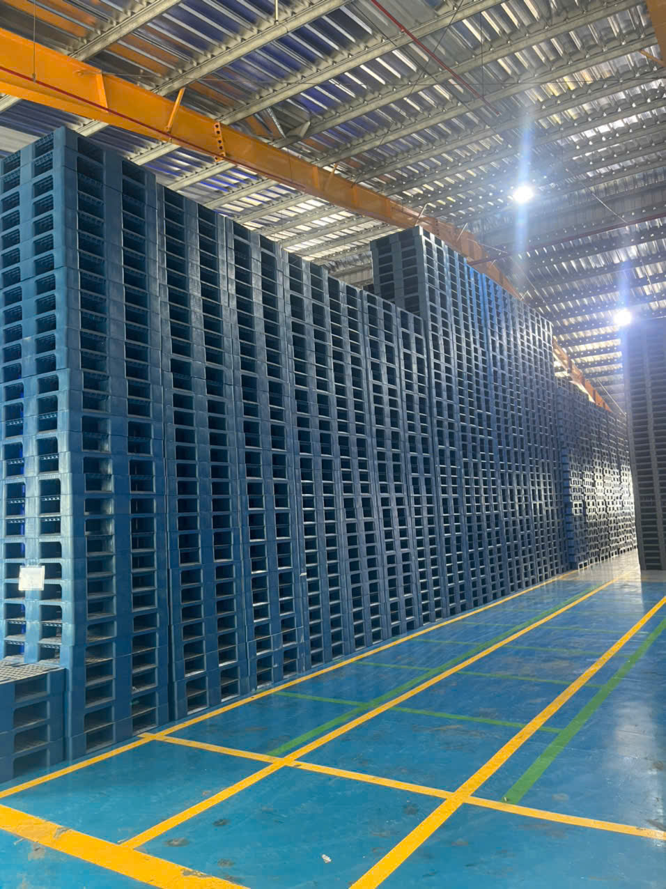 Báo Giá Pallet Nhựa Công Nghiệp Lâm Đồng