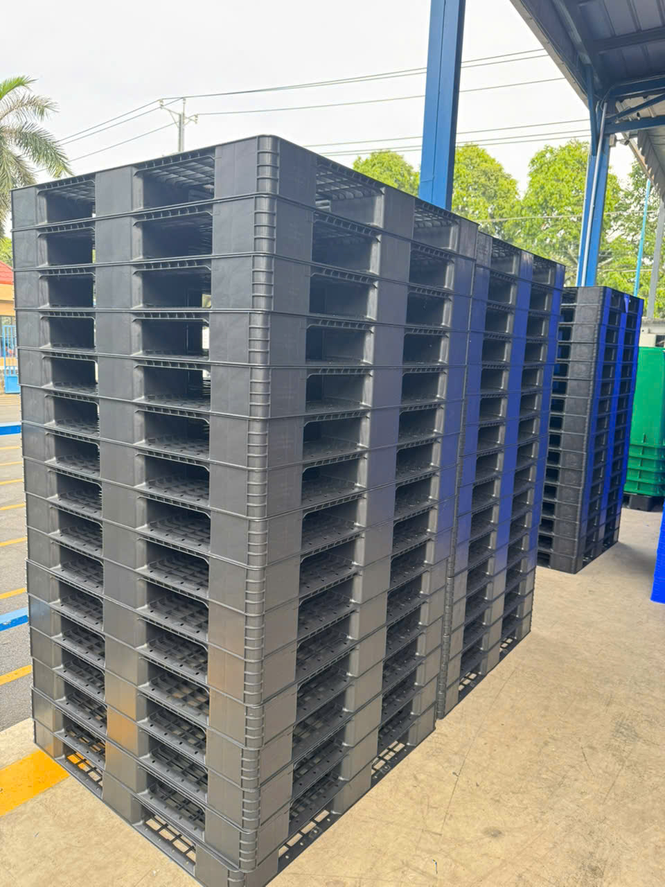 Báo Giá Pallet Nhựa Công Nghiệp Phú Thọ