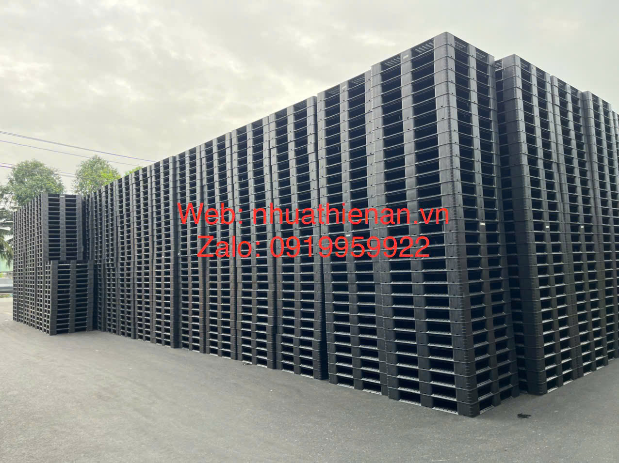 Báo Giá Pallet Nhựa Công Nghiệp Vĩnh Long