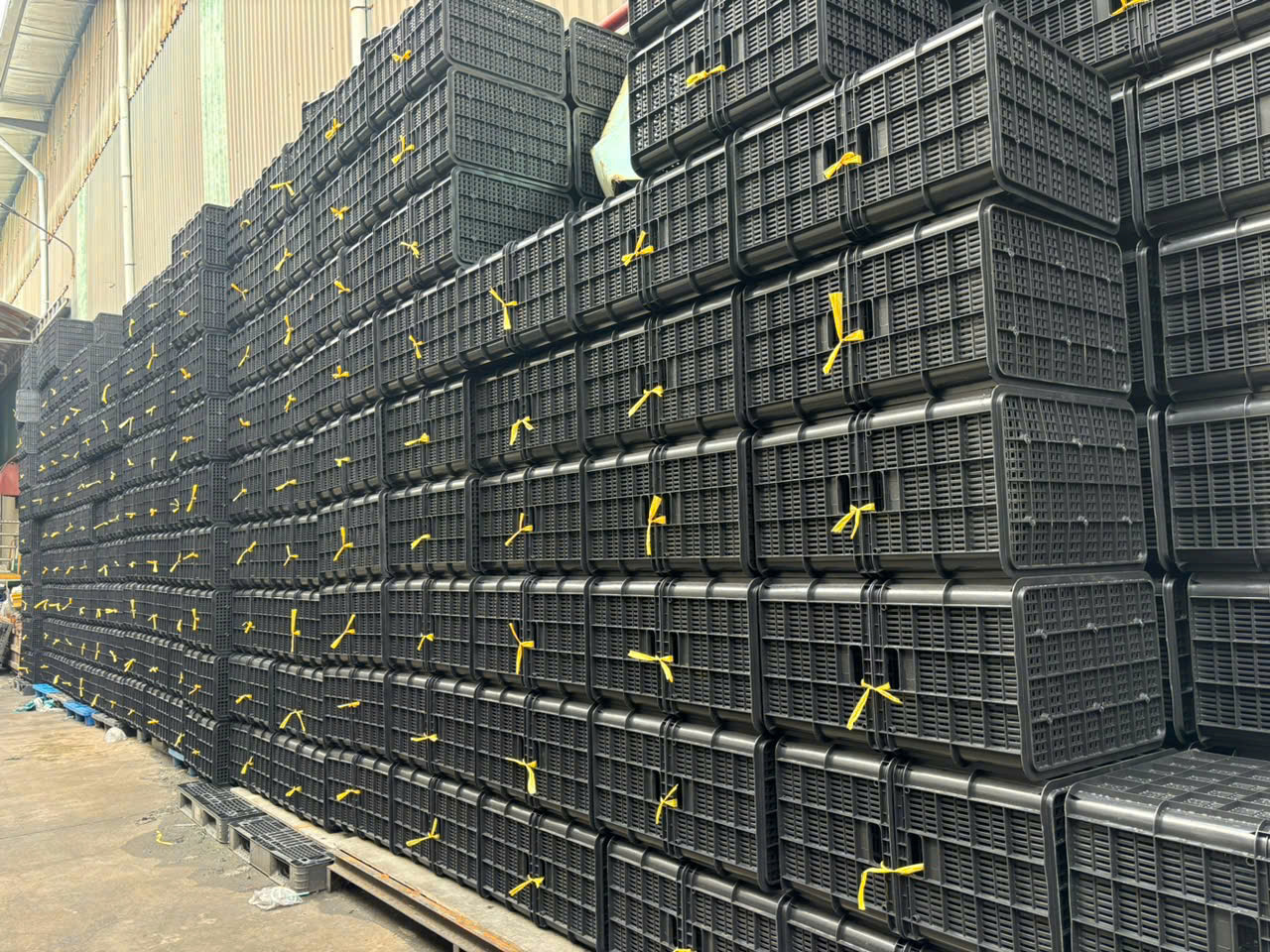 Báo Giá Thùng Nhựa Rỗng Cần Thơ