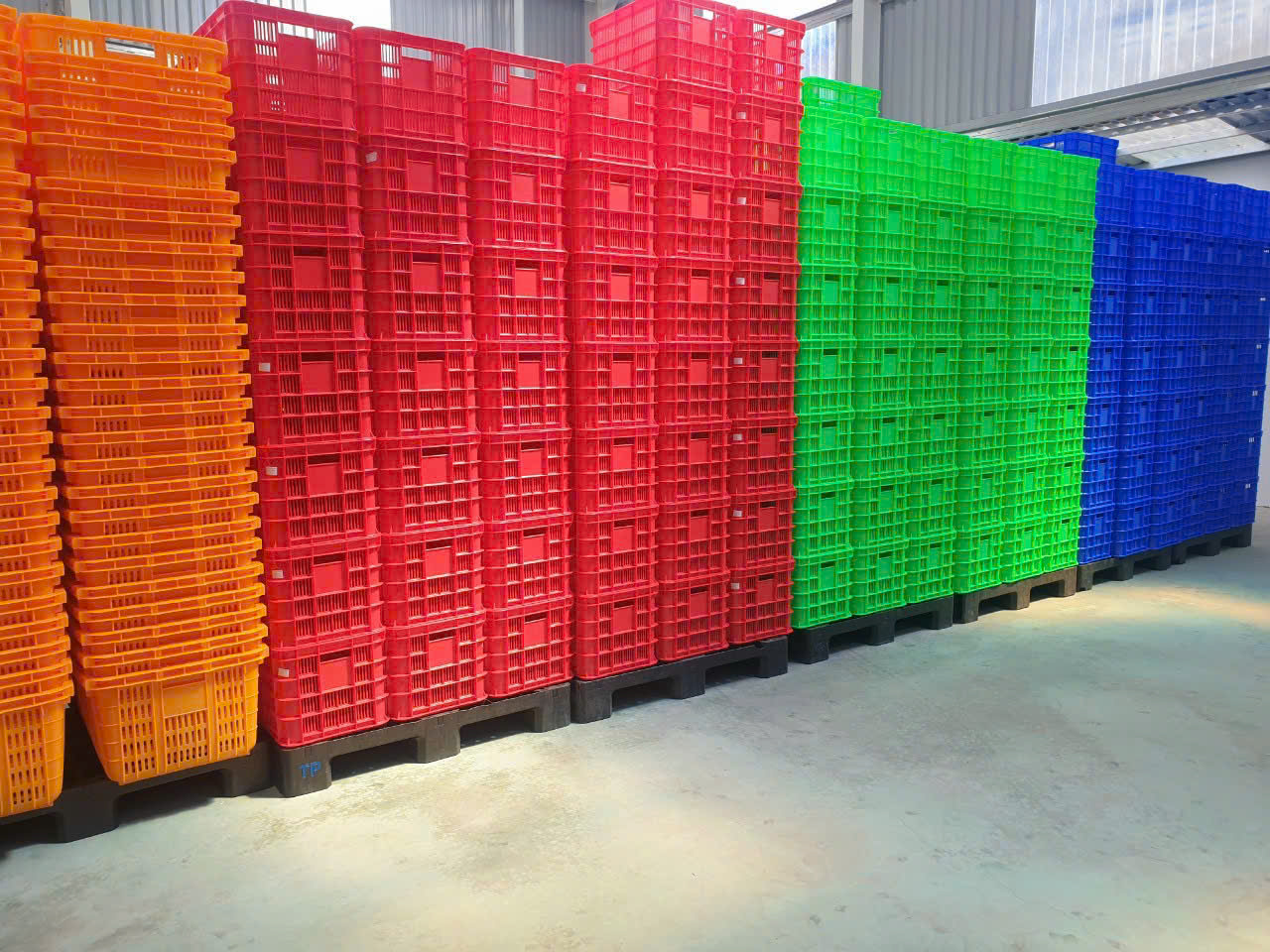 Báo Giá Thùng Nhựa Rỗng Huế