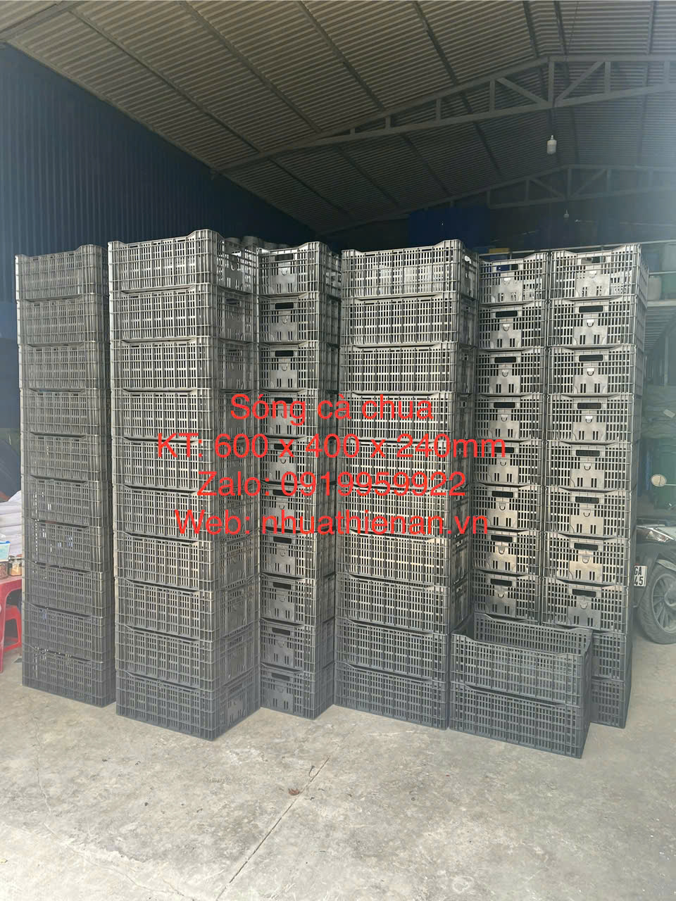 Báo Giá Thùng Nhựa Rỗng Lào Cai