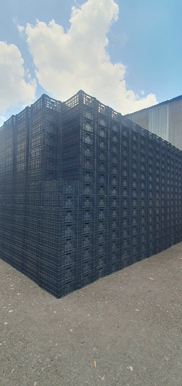 Báo Giá Thùng Nhựa Rỗng Thái Nguyên