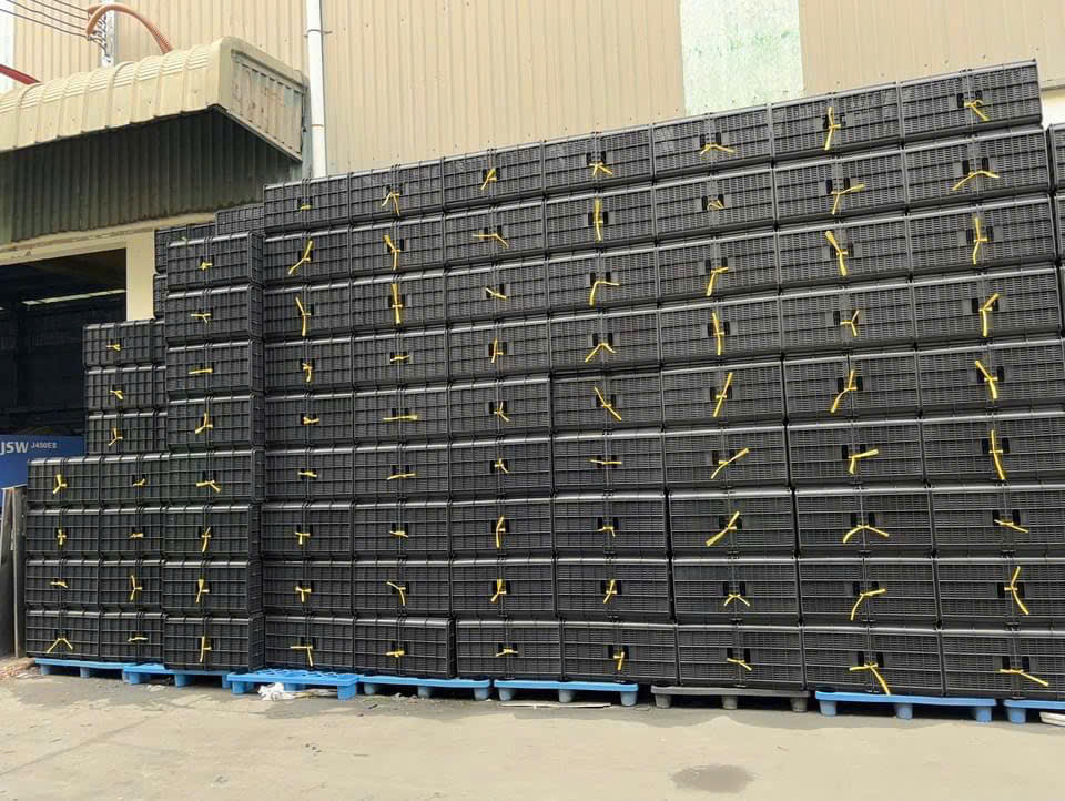 Báo Giá Thùng Nhựa Rỗng Vĩnh Long